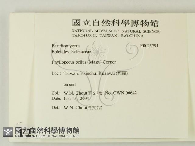 登錄號:F0025791藏品圖，第2張