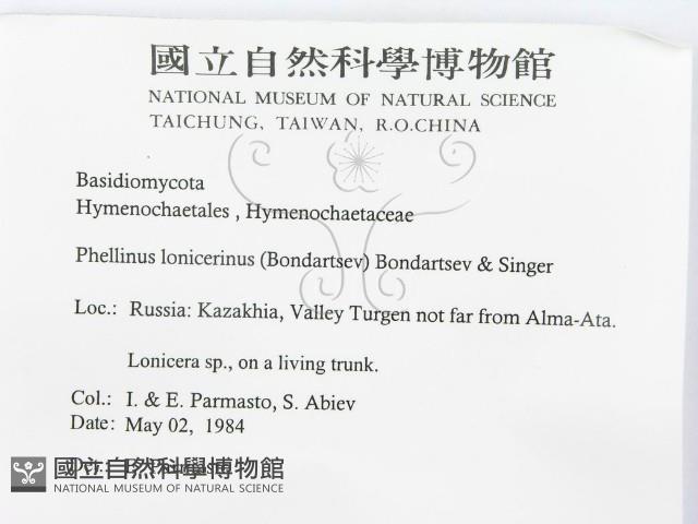 登錄號:F0015791藏品圖，第2張