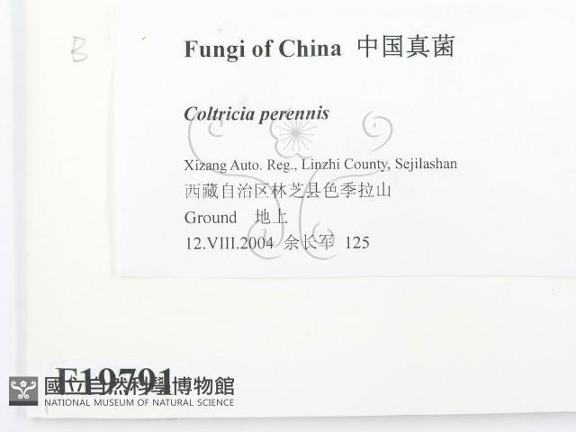 登錄號:F0019791藏品圖，第2張