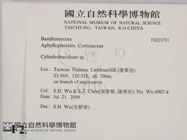 登錄號:F0023791藏品圖，第2張