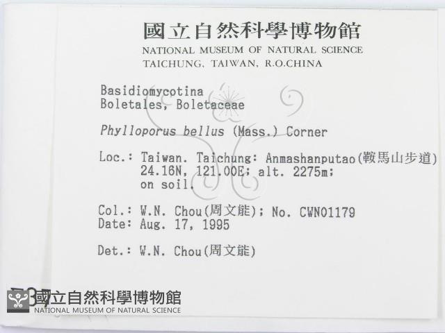 登錄號:F0003791藏品圖，第2張