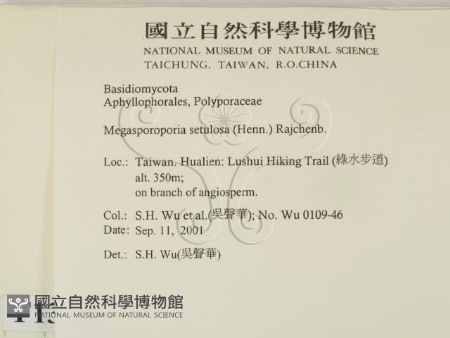 登錄號:F0013791藏品圖，第2張