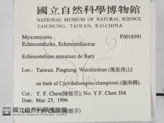 登錄號:F0018591藏品圖，第2張