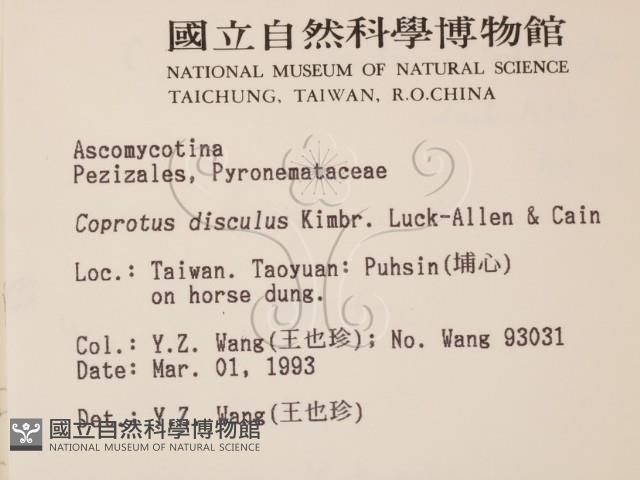 登錄號:F0000591藏品圖，第2張