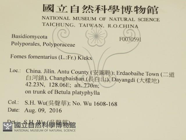 登錄號:F0030591藏品圖，第2張