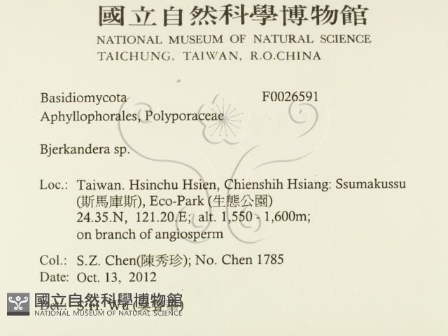 登錄號:F0026591藏品圖，第2張