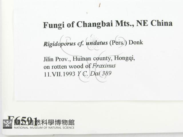 登錄號:F0006591藏品圖，第2張