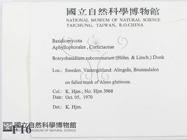 登錄號:F0016591藏品圖，第2張