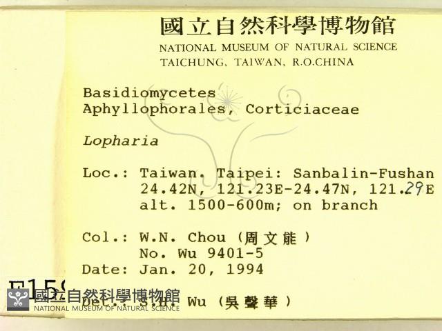 登錄號:F0001591藏品圖，第2張