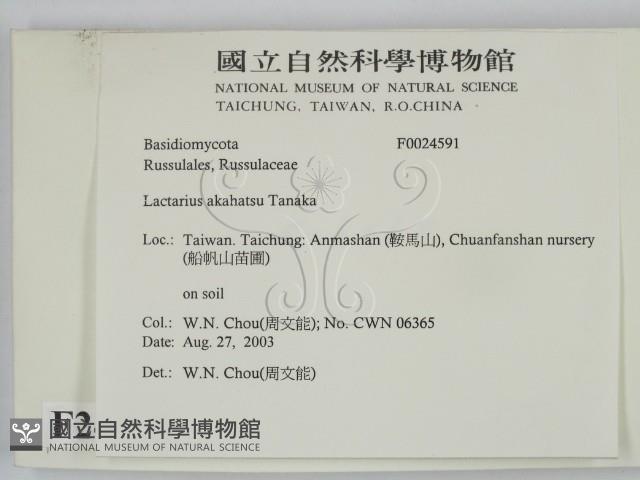 登錄號:F0024591藏品圖，第2張