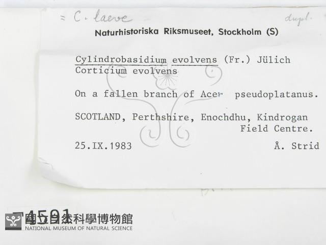 登錄號:F0004591藏品圖，第2張