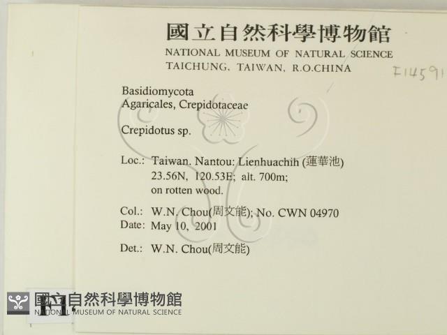 登錄號:F0014591藏品圖，第2張