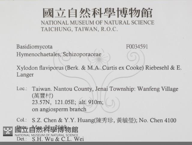 登錄號:F0034591藏品圖，第2張