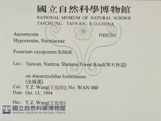 登錄號:F0002591藏品圖，第2張