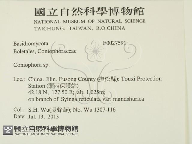 登錄號:F0027591藏品圖，第2張