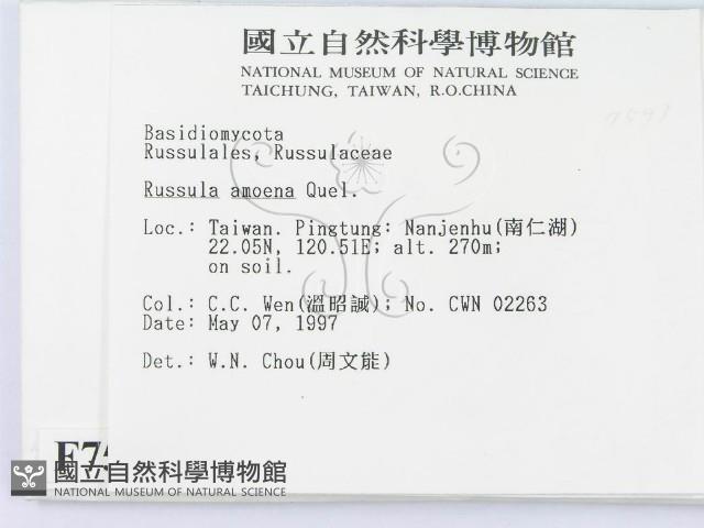 登錄號:F0007591藏品圖，第2張