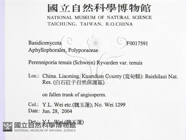 登錄號:F0017591藏品圖，第2張