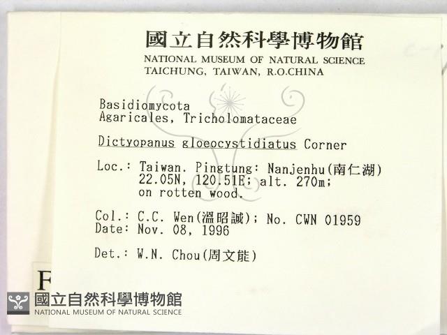 登錄號:F0005591藏品圖，第2張