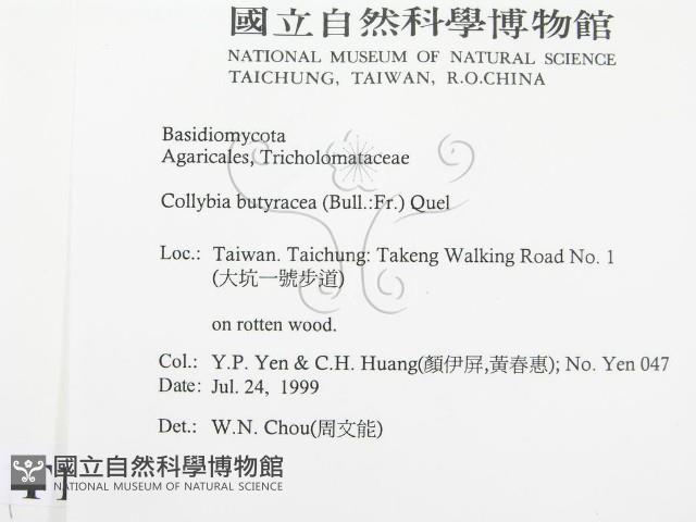 登錄號:F0015591藏品圖，第2張