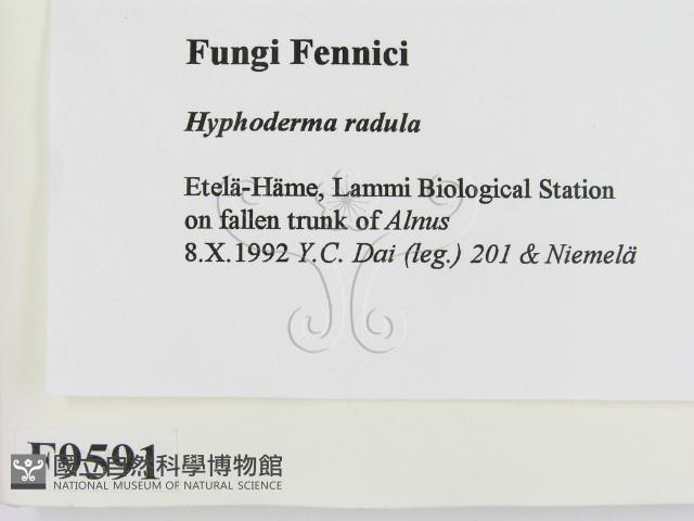 登錄號:F0009591藏品圖，第2張