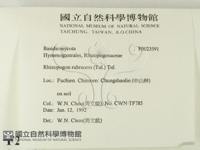 登錄號:F0023591藏品圖，第2張