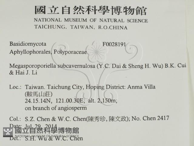 登錄號:F0028191藏品圖，第2張