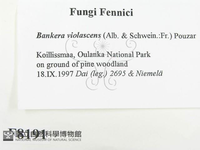 登錄號:F0008191藏品圖，第2張