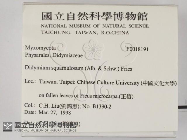 登錄號:F0018191藏品圖，第2張