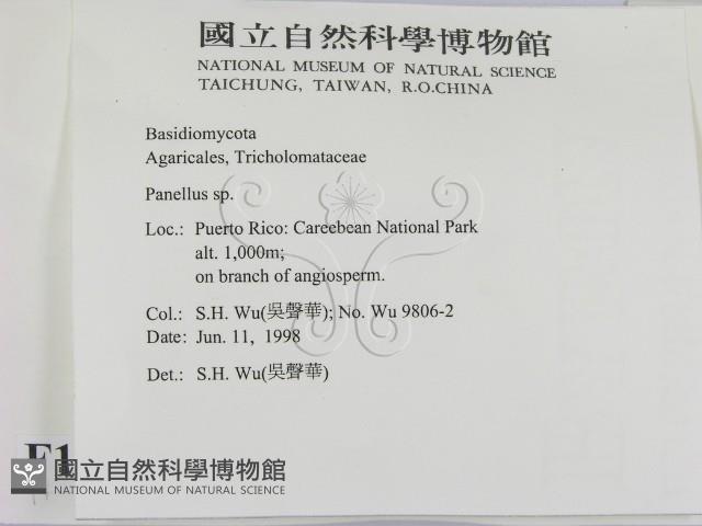 登錄號:F0010191藏品圖，第2張