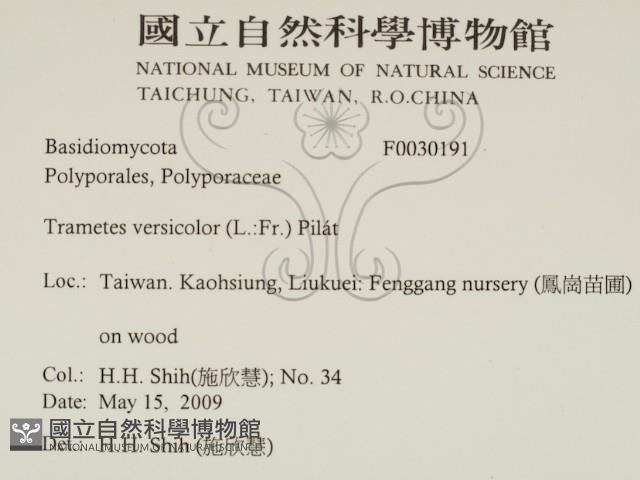 雲芝藏品圖，第2張