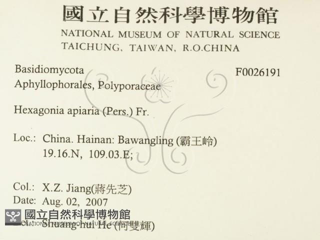 登錄號:F0026191藏品圖，第2張