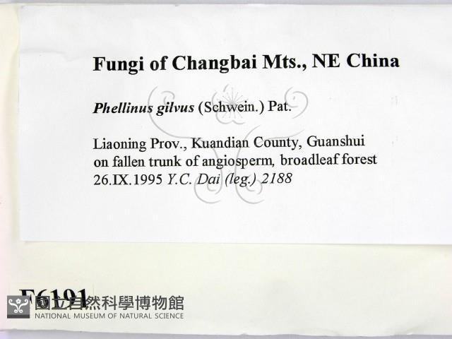 登錄號:F0006191藏品圖，第2張