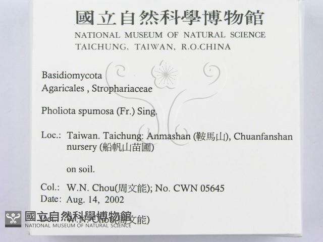 登錄號:F0016191藏品圖，第2張