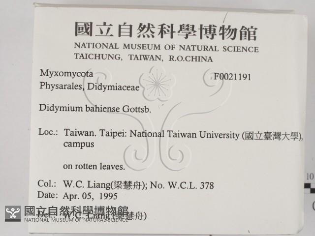 登錄號:F0021191藏品圖，第2張