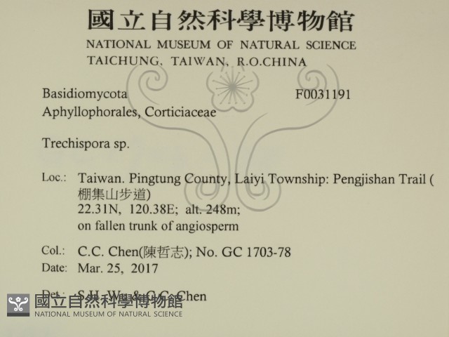 粗糙孢菌屬藏品圖，第2張