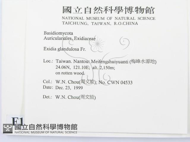 登錄號:F0014191藏品圖，第2張