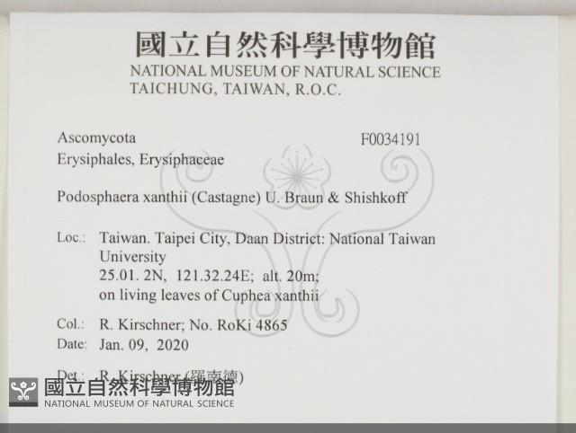 登錄號:F0034191藏品圖，第2張