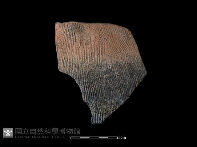 陶片藏品圖，第1張