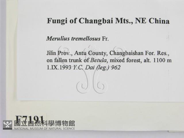 登錄號:F0007191藏品圖，第2張