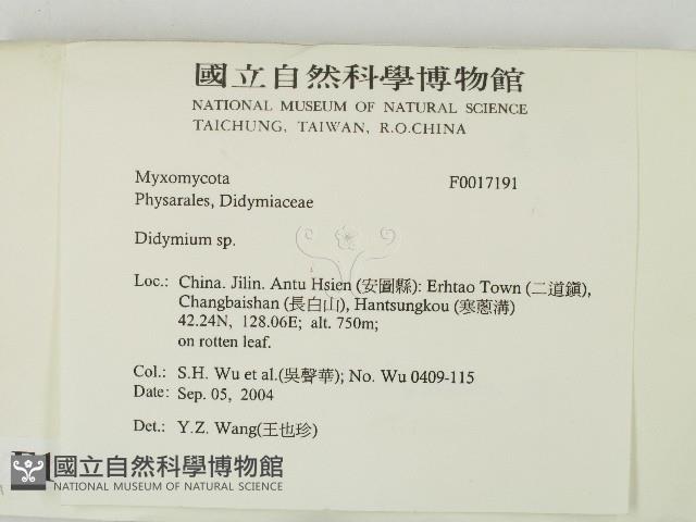 登錄號:F0017191藏品圖，第2張