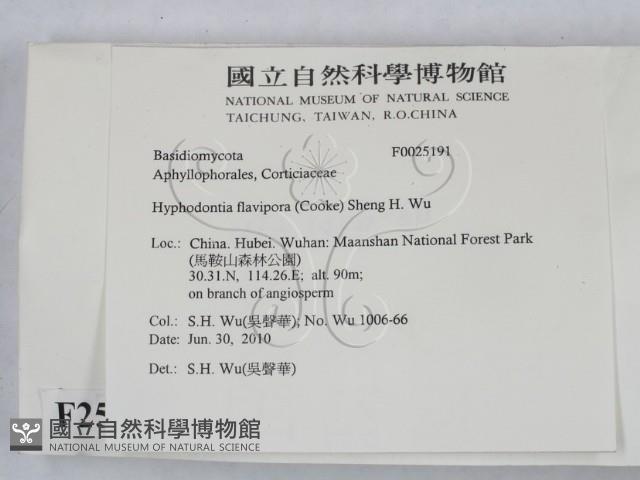 登錄號:F0025191藏品圖，第2張