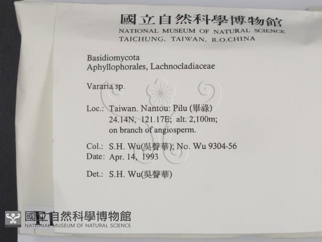 登錄號:F0015191藏品圖，第2張