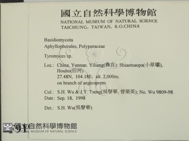 登錄號:F0009191藏品圖，第2張