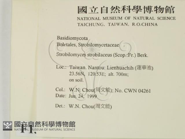 登錄號:F0013191藏品圖，第2張