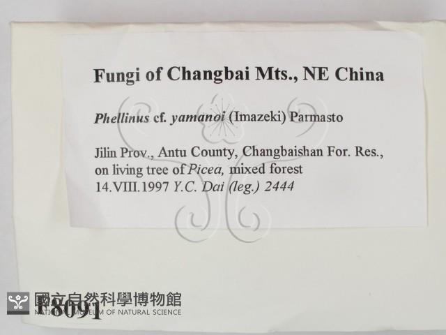 登錄號:F0008091藏品圖，第2張