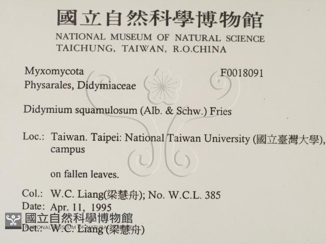 登錄號:F0018091藏品圖，第2張