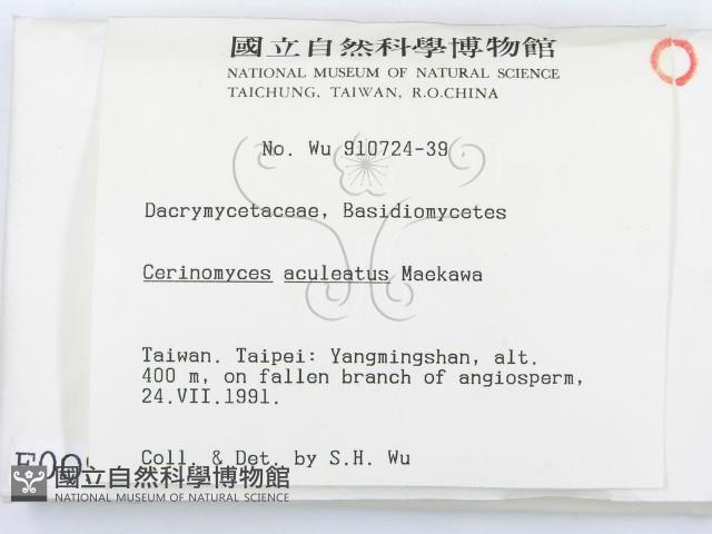登錄號:F0000091藏品圖，第2張