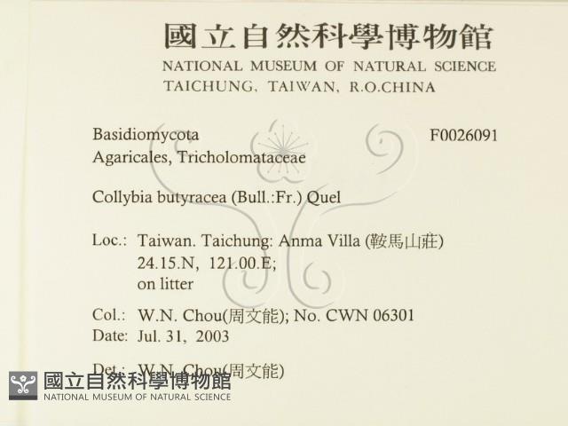 登錄號:F0026091藏品圖，第2張