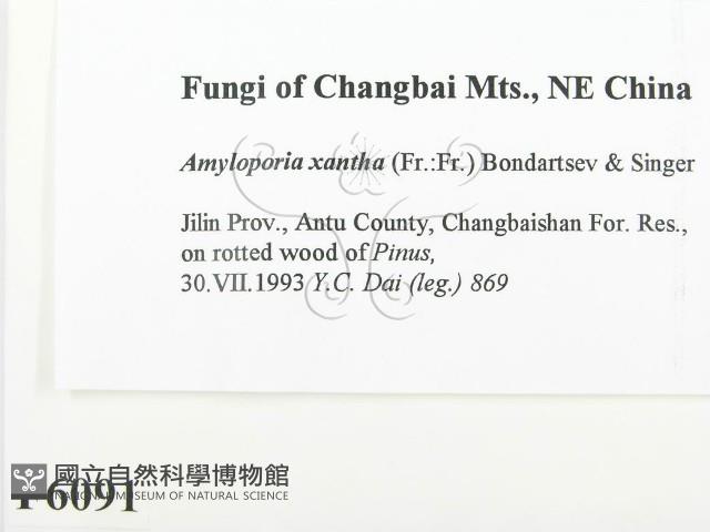 登錄號:F0006091藏品圖，第2張