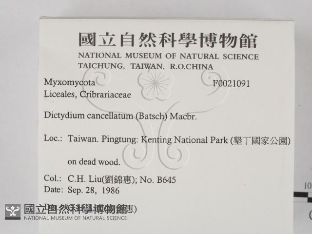 登錄號:F0021091藏品圖，第2張
